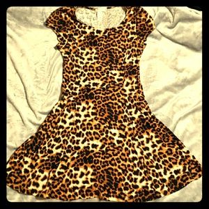Leopard Print Skater Dress